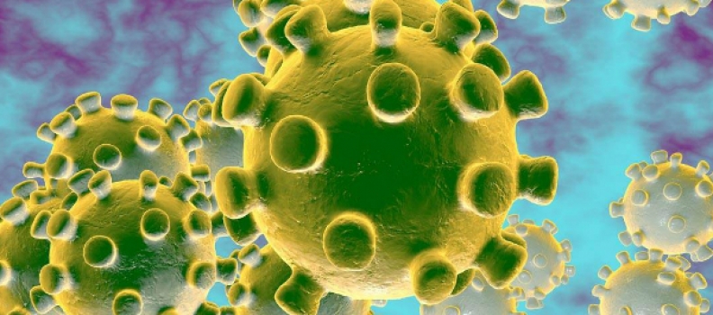 February 29, 2020 – Politics Goes Viral