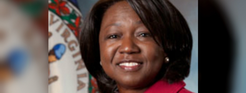 The Virginia Commission on Diversity, Equity and Inclusion